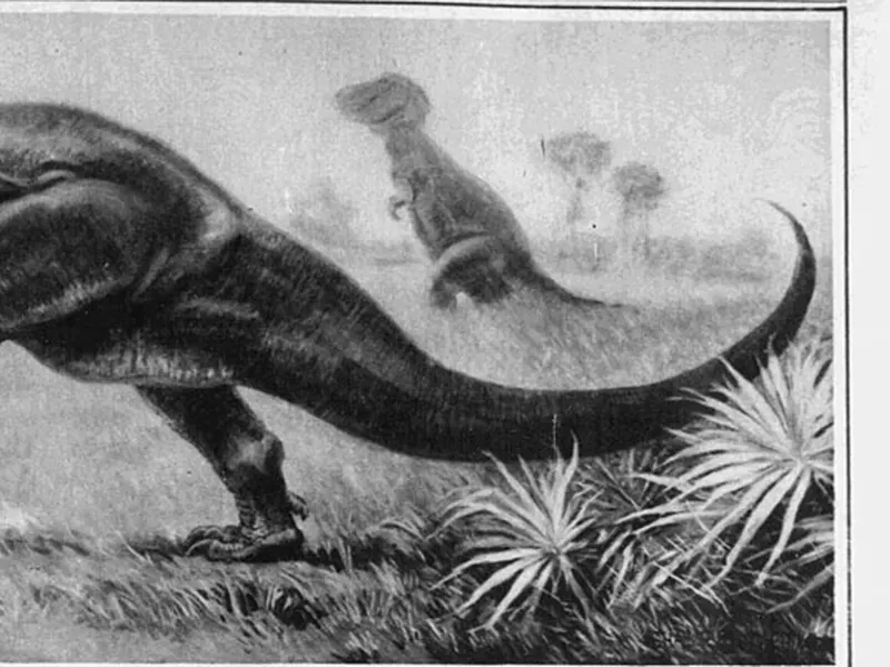 A black and white painting of a T. rex standing upright with its tail on the ground